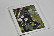 Load image into Gallery viewer, Cards by Louise Werrett
