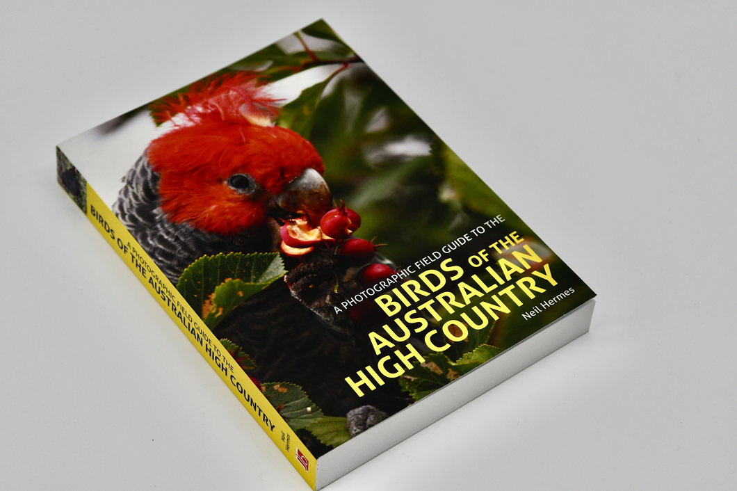 Birds of the Australian High Country
